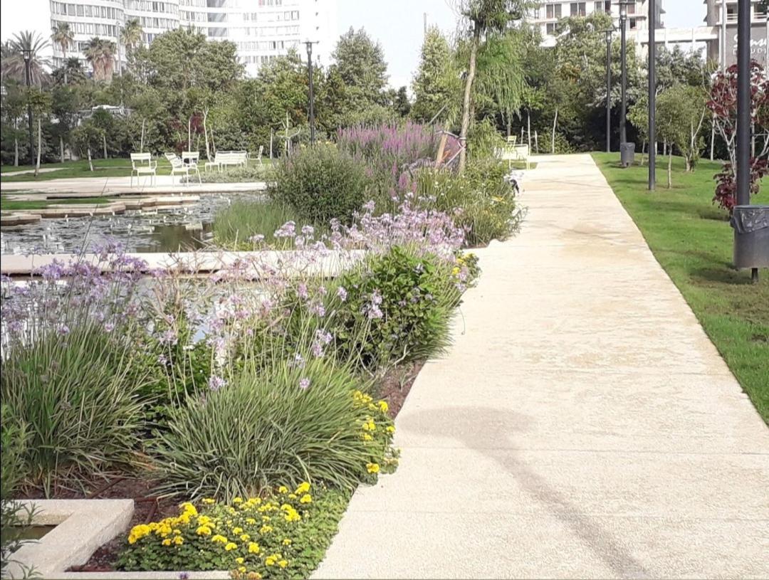 Bat Yam Luxery 5Br Sea View Suite Екстер'єр фото